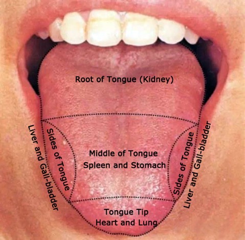 A Course In Tongue Diagnosis | The Which Doctor