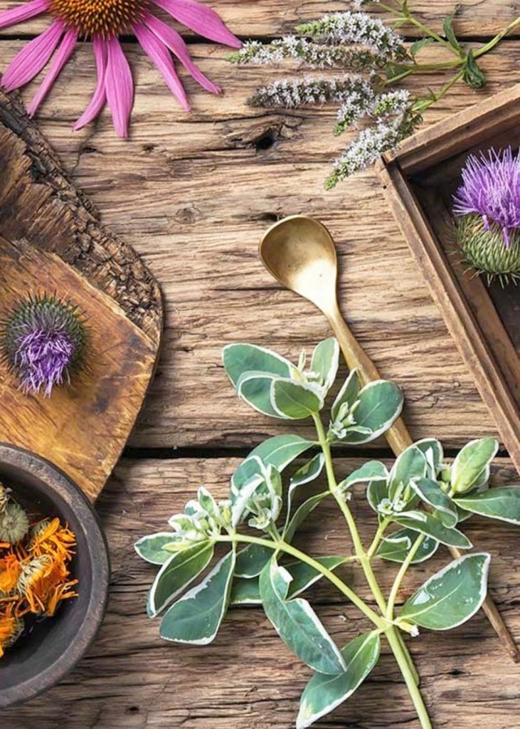 Chinese Herbal Medicine Specialist in South Yarra